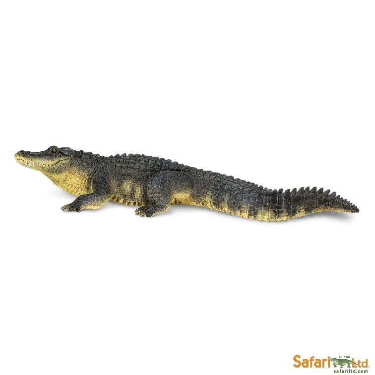 Alligator 26 cm Serie Wassertiere Safari Ltd 113389 Neuheit 2017 