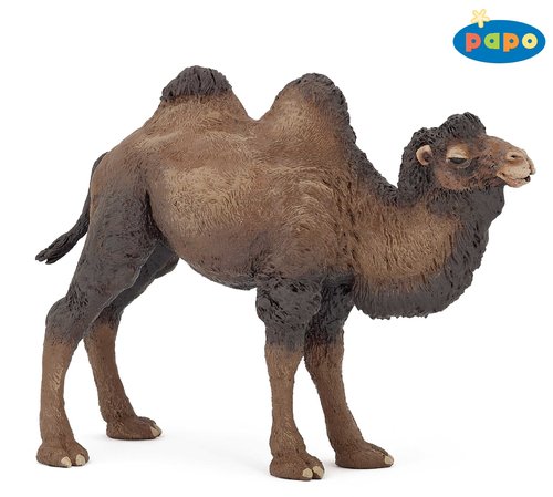 Papo 50129 camel 13 cm Wild Animals