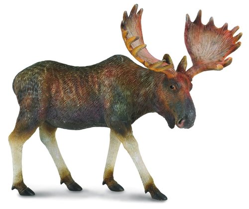 Collecta 88335 moose 13 cm Wild Animals