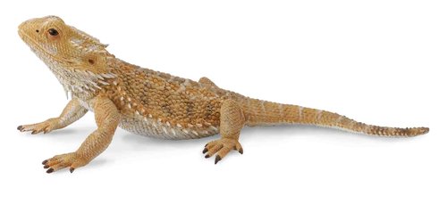 Collecta 88567 dragon lizard 13 cm Wild Animals