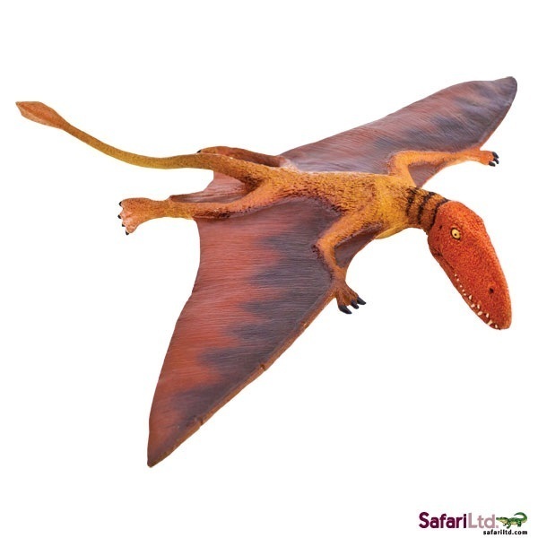 Dimorphodon 23 cm Serie Dinosaurier Safari Ltd 304729 