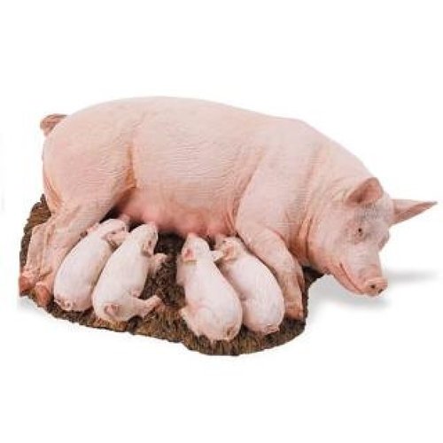 Safari Ltd 235929 pig + piglet 10 cm Series Farmland