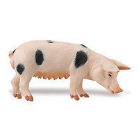 Gloucester Schwein 10 cm Serie Bauernhof Safari Ltd 231829