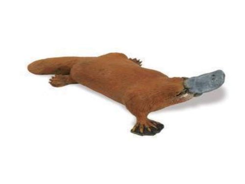 Safari Ltd 283529 platypus 11 cm Series Wild Animals