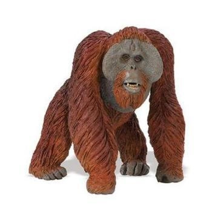 Safari Ltd 112289 Orangutan 12 cm Series Wild Animals
