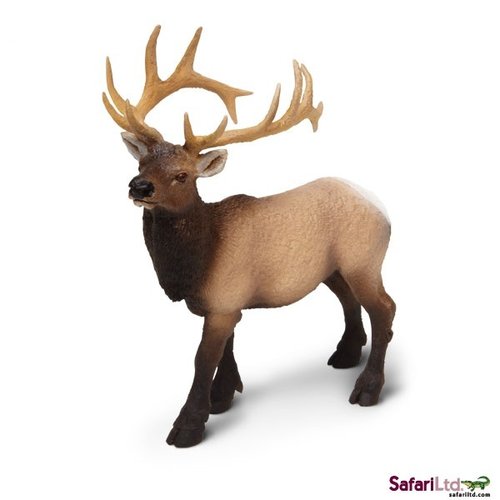 Safari Ltd 180329 deer 11 cm Series Wild Animals