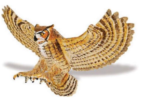 Safari Ltd 264329 big Owl 12 cm Series Wing of the Earth