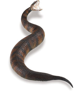 Safari Ltd 281529 Snake 23 cm Series Unbelievable Creatures