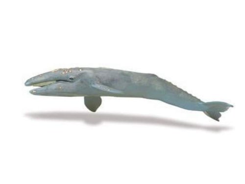 Safari Ltd 210402 Gray Whale 30 cm Series Water Animals