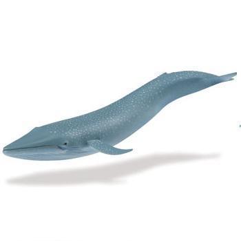 Safari Ltd 223229 Blue Whale 25 cm Series Water Animals