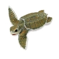 Safari Ltd 267429 Atlantisches Bastardschildkrötenbaby 11 cm Serie Wassertiere