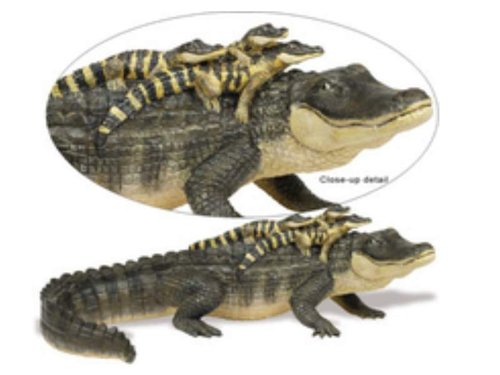 Safari Ltd 259629 Alligator + babys 30 cm Series Unbelievable Creatures