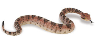 Safari Ltd 261629 rattlesnake 22 cm Series Unbelievable Creatures