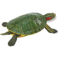 Safari Ltd 269529 tortoise 13 cm Series Unbelievable Creatures