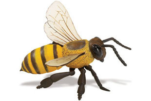Safari Ltd 268229 Honigbiene 13 cm Serie Unglaubliche Kreaturen