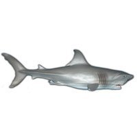 Maia and Borges 13026 Great White Shark 20 cm series sea animals