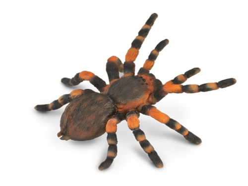 Collecta 88338 mexican redknee tarantula 8 cm Wild Animals