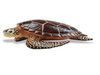 Safari Ltd 260429 Meeresschildkröte 22 cm Serie Unglaubliche Kreaturen