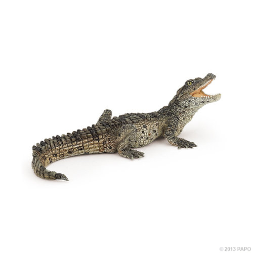 Papo 50137 Krokodiljunges 11 cm Wildtiere