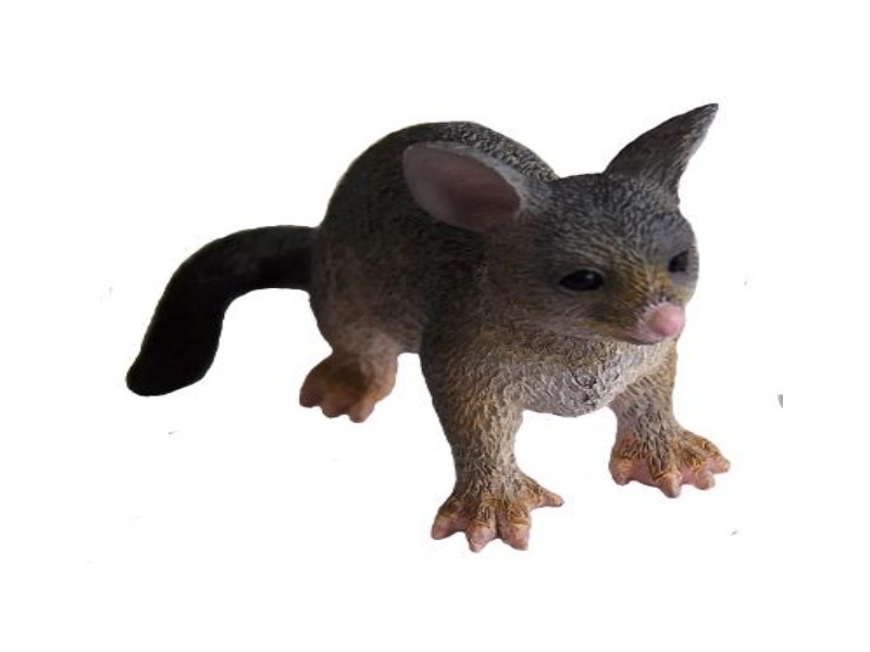 Animals of Australia 75362 Beutelsäugern Possum 6 cm