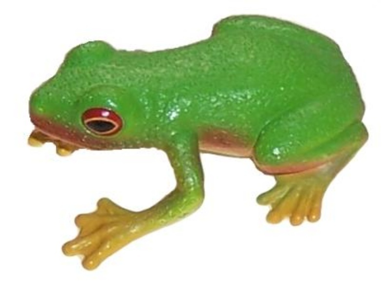 Animals of Australia 75342 frog 4 cm