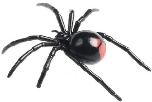 Animals of Australia 78083 spider (red back) 8 cm