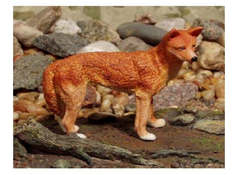 Animals of Australia 75461 dingo dog 9 cm