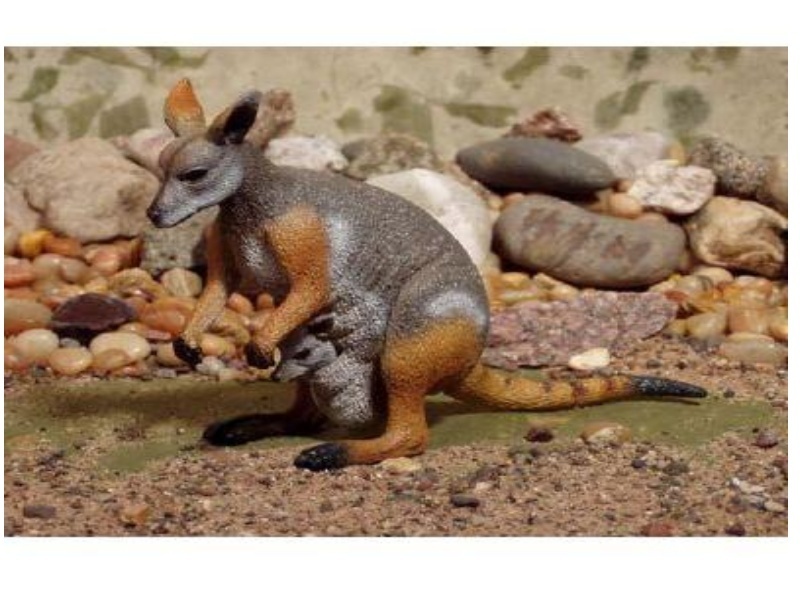 Animals of Australia 75451 Bürstenschwanz-Felskänguru 16 cm