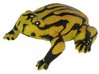 Animals of Australia 75361 Corroboree Frosch 4 cm