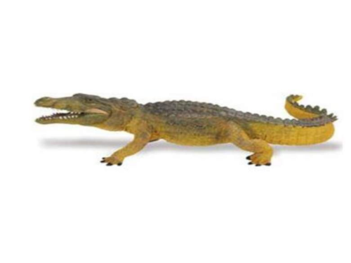 Safari Ltd 272729 Krokodil 15 cm Serie Wassertiere