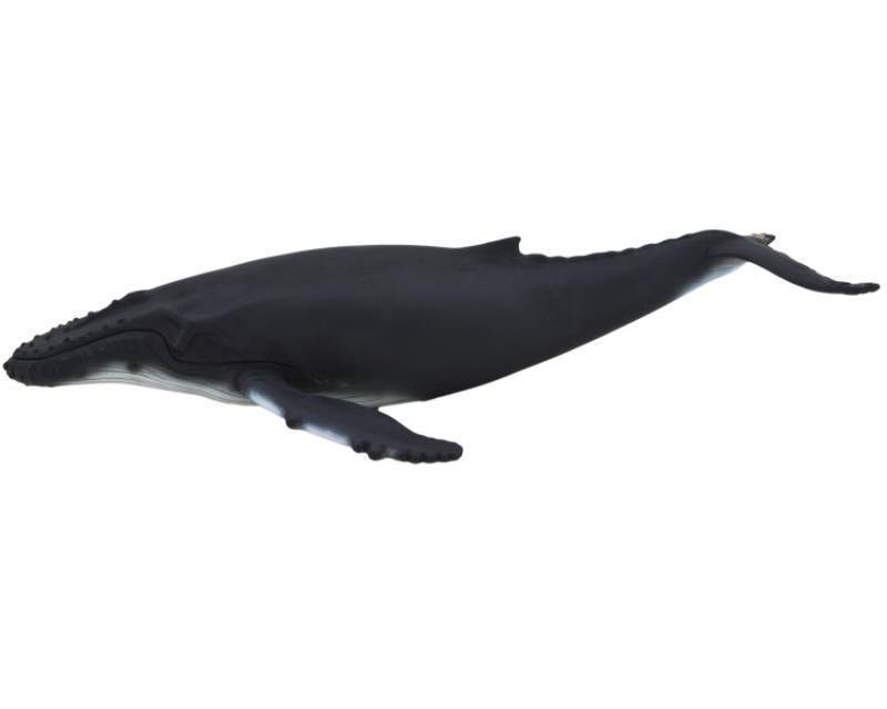Mojo 387119 humpback whale 25 cm Water Animals
