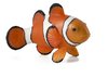Mojo 387090 Clownfisch Anemonenfisch 8 cm Wassertiere