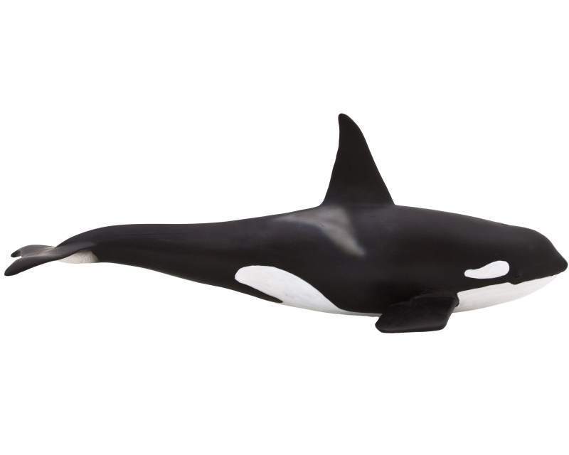 Mojo 387114 orca whale 20 cm Water Animals