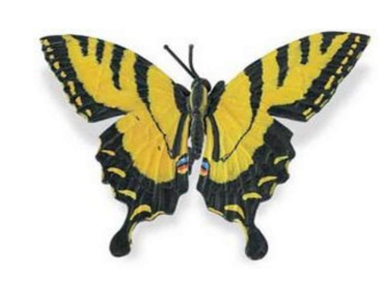 Safari Ltd 543106 Gelber Schmetterling 13 cm Serie Verlorenes Königreich
