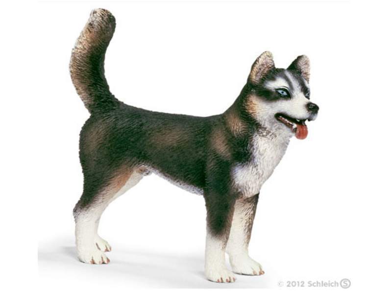 Schleich 16371 Husky (male dog) 9 cm Series Dogs and Cats