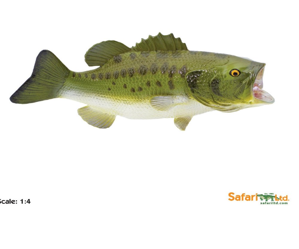 Safari Ltd 265629 black bass 15 cm Series Water Animals
