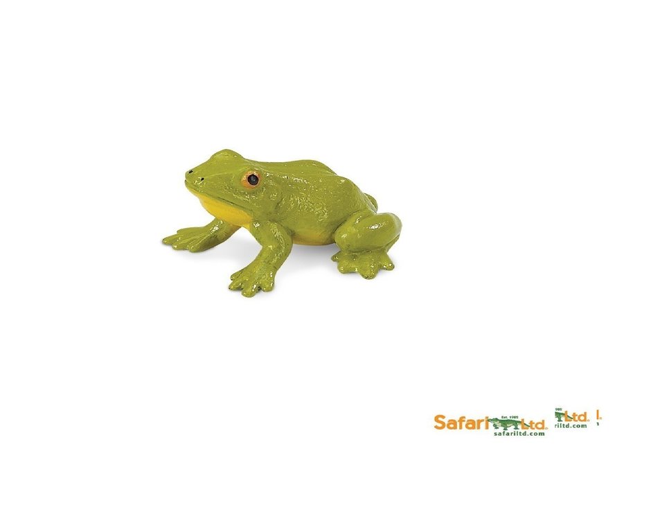 Safari Ltd 181529 Frosch 6 cm Serie Wassertiere