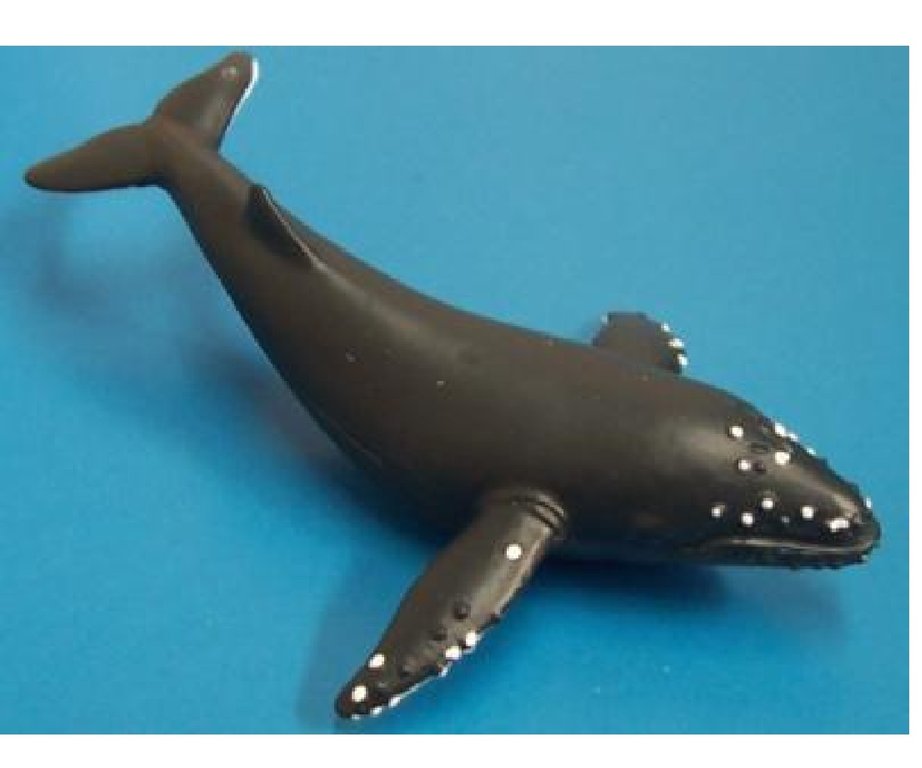 Animals of Australia 75385 humpback whale 8,5 cm