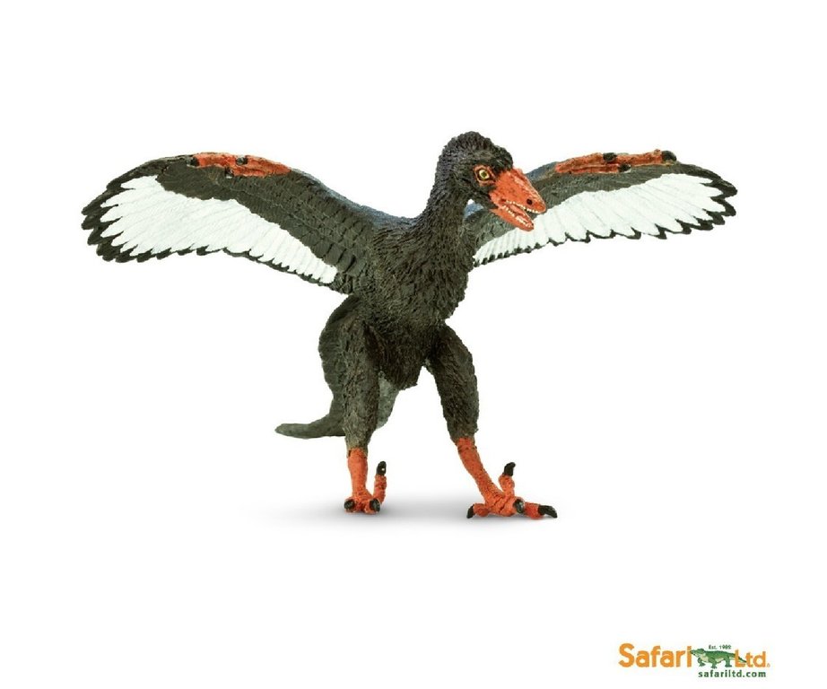 Microraptor 17 cm Serie Dinosaurier Safari Ltd 304129               Neuheit 2017 