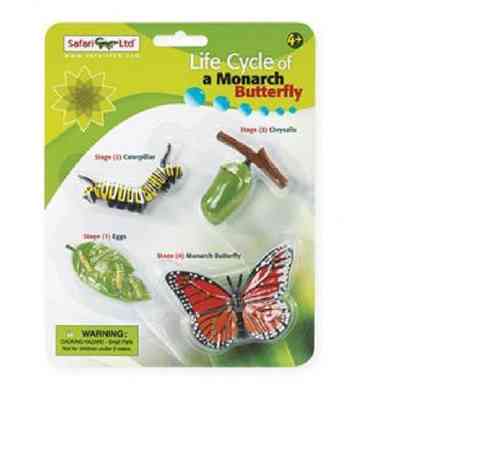 Safari Ltd 622616 Lifecycle monarch butterfly Series Science