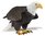 Safari Ltd 251029 Weißkopfseeadler 18 cm Serie Unglaubliche Kreaturen