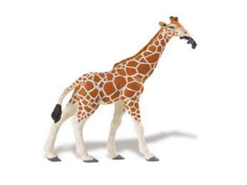 Safari Ltd 268429 giraffe 18 cm Series Wild Animals