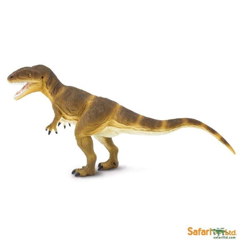 Safari Ltd 305229 Carcharodontosaurus 24 cm Serie Dinosaurier