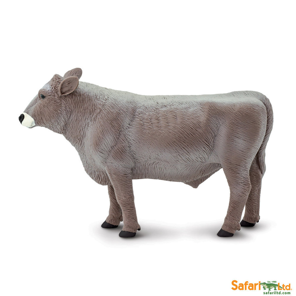 Brown Swiss Calf Farmlife Replica Figure Toy 161729 New Details about   Safari Ltd 