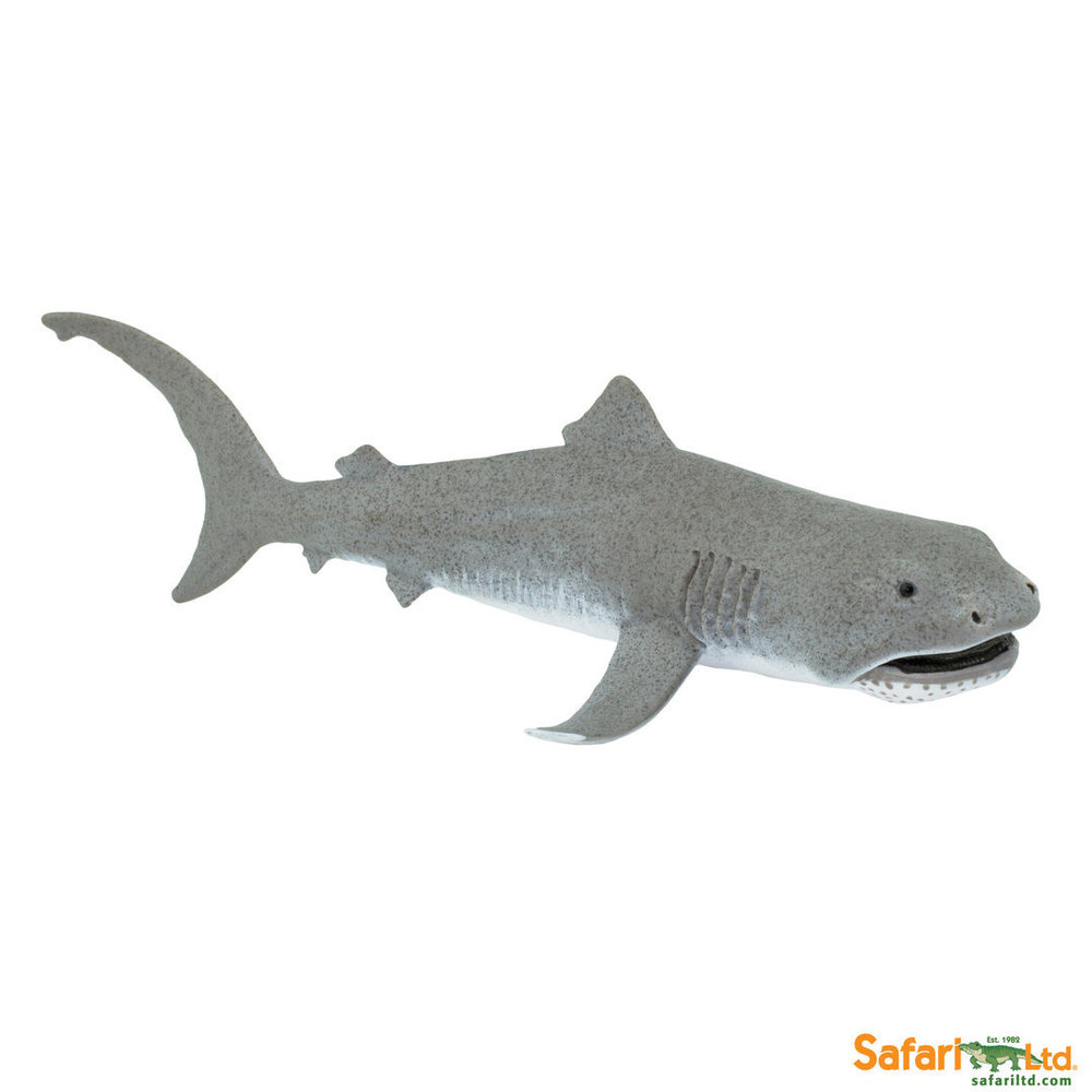 Safari Ltd 210702 Hammerhai 20 cm Serie Wassertiere 