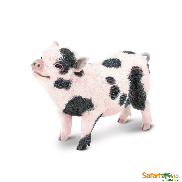 Safari Ltd 266029 piglet 13 cm Series Farmland