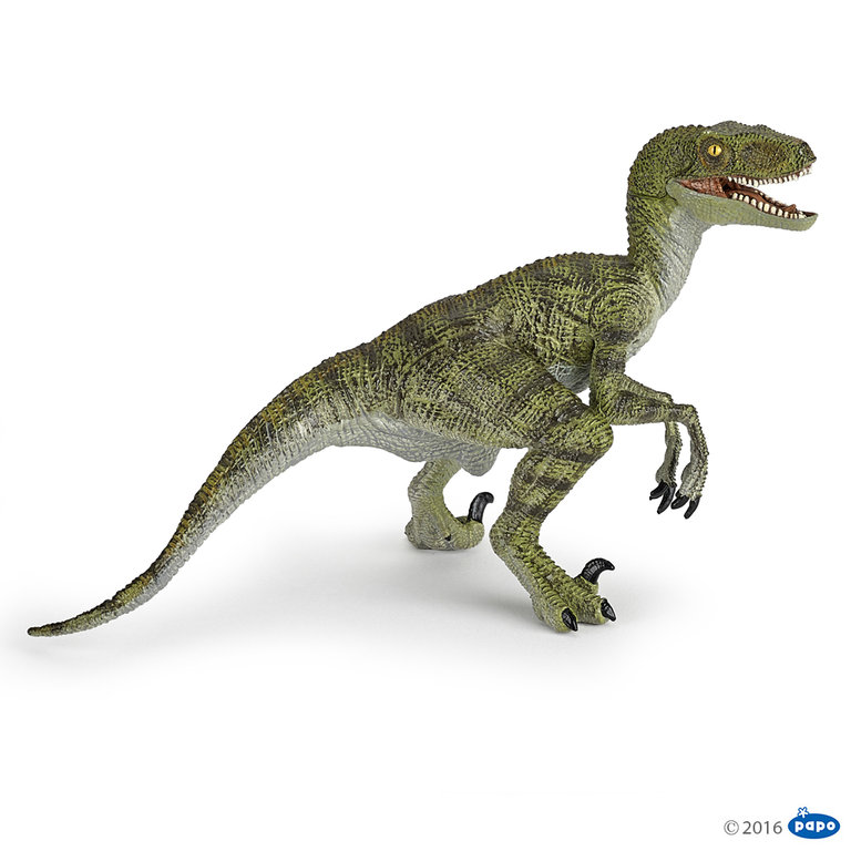 Papo 55058 Velociraptor grün 17 cm Dinosaurier