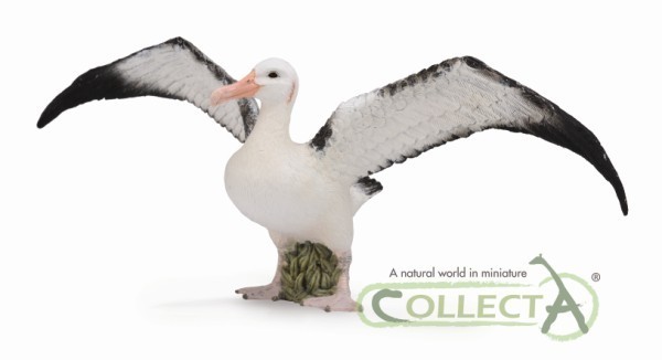 Collecta 88765 albatross 17 cm Wild Animals