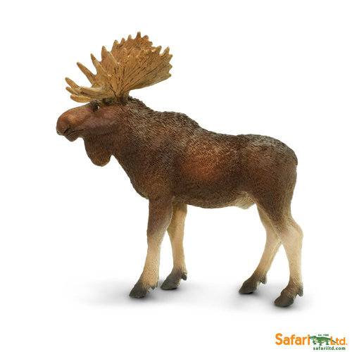 Safari Ltd 181029 Elch Bulle 11 cm Serie Wildtiere