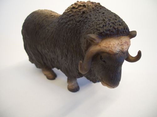 Maia und Borges 48288 Büffel 11 cm Serie Wildtiere